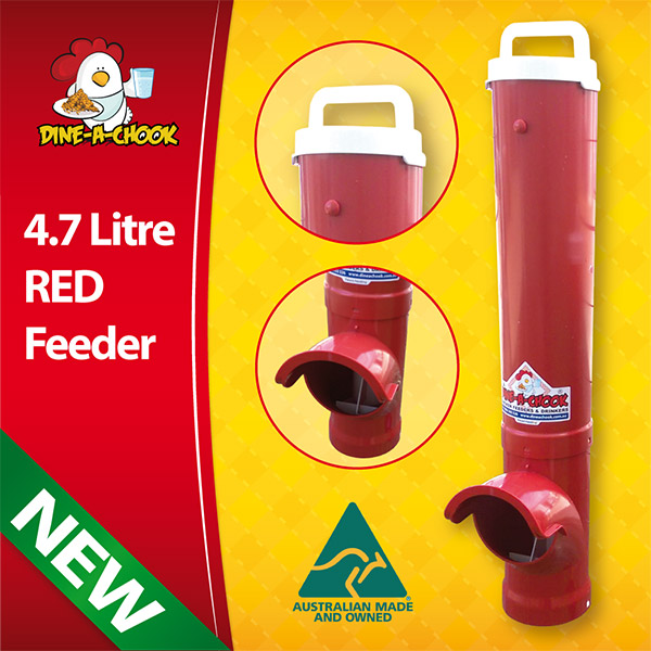 Dine a Chook Large Chicken feeder